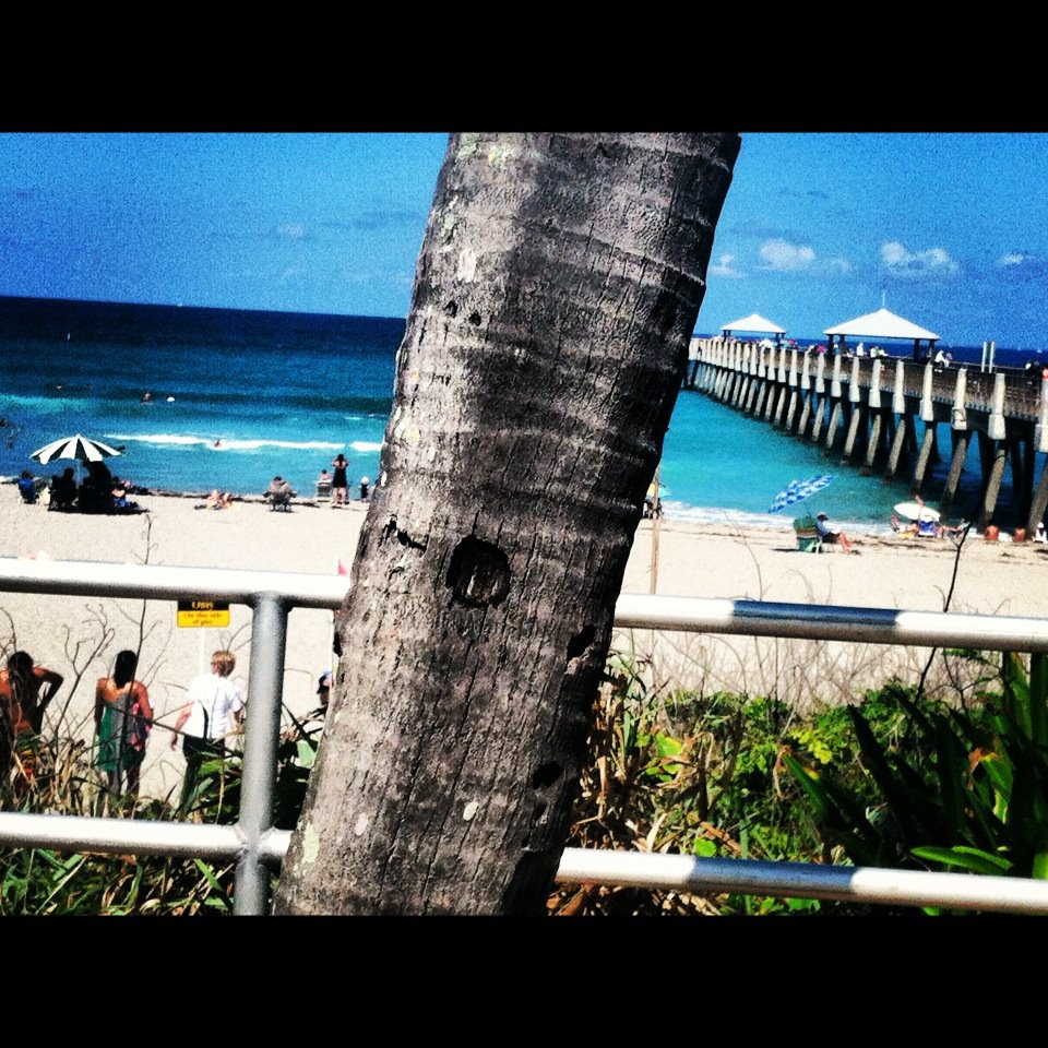 Instagram by Malinda Knowles, Jupiter Beach Florida